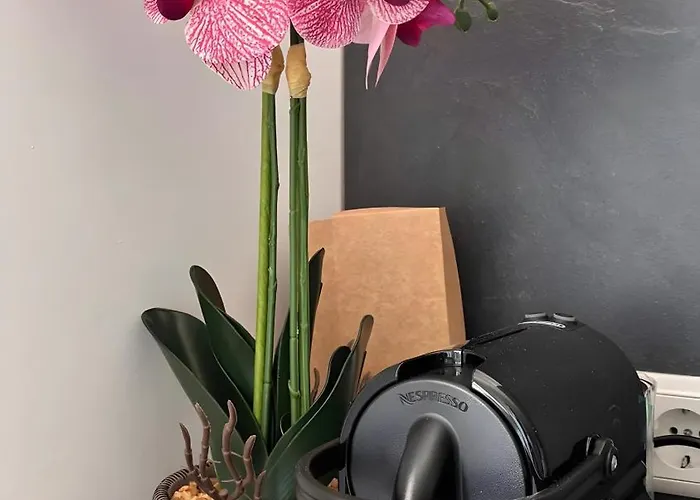 Lopezan House, Living