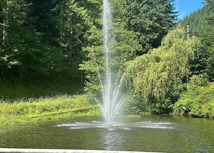 Casa vacanze Lopezan House, Living Hornberg